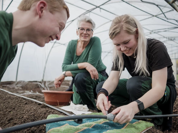 Auszubildende und Ausbilderin im Gewächshaus arbeiten am Bewässerungssystems 